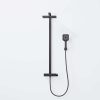 390 2750 S STEINBERG SERIES 390 390 2750 STEINBERG SERIES 390 SHOWER SET With thermostatic mixer valve, Pushtronic 2 outlets, with volume control, with rain shower (with Easy Clean) and handshower MATT BLACK