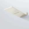 390 5662 BN STEINBERG WALL RAIN 2 FUNCTION SHOWER PANEL 600X250MM BRUSHED NICKEL